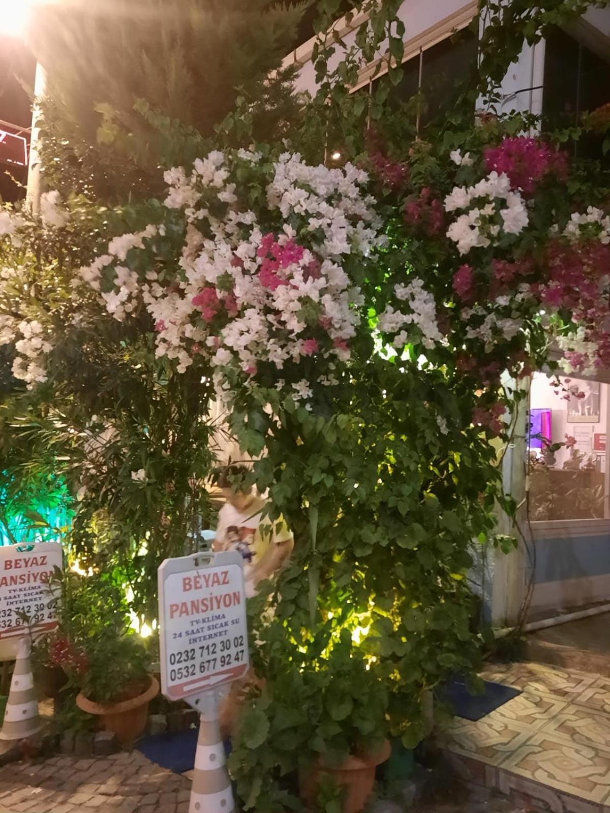 Beyaz Apart Pansiyon Cesme Exterior photo